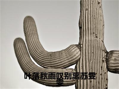 【新书】《严天禹苏雯雯》全文免费阅读无弹窗大结局-叶落秋雨叹别离苏雯雯全文全章节免费阅读