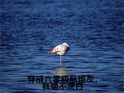 穿成六零极品炮灰，我绝不洗白（何瑞雪）全文免费在线阅读_穿成六零极品炮灰，我绝不洗白全文阅读_笔趣阁（何瑞雪）