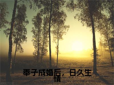 奉子成婚后，日久生情（周浩谢澜）小说全文免费阅读无弹窗大结局_奉子成婚后，日久生情全文在线阅读无弹窗