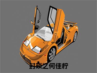 封琰之何佳柠（何佳柠封琰之）小说全文免费_封琰之何佳柠（何佳柠封琰之）最新章节目录笔趣阁