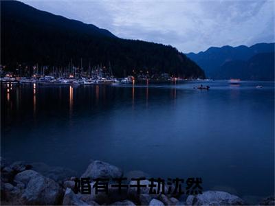 沈然（婚有千千劫沈然）小说在线阅读_沈然全本免费小说阅读大结局（婚有千千劫沈然）