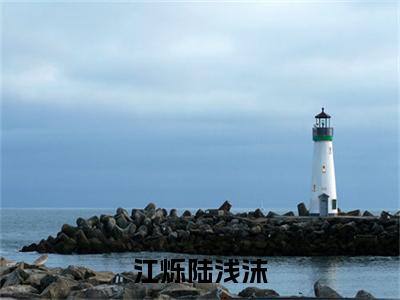 陆浅沫江烁（江烁陆浅沫小说）全文免费阅读无弹窗大结局_江烁陆浅沫小说最新章节列表_笔趣阁（陆浅沫江烁）