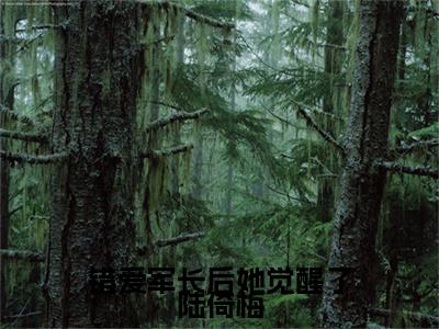 错爱军长后她觉醒了陆倚梅多人追的小说在哪里可以看陆倚梅郑春生小说免费阅读全章节