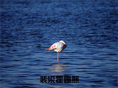 裴染霍霆熙（完整版）小说推荐-裴染霍霆熙热文小说裴染霍霆熙免费阅读全文