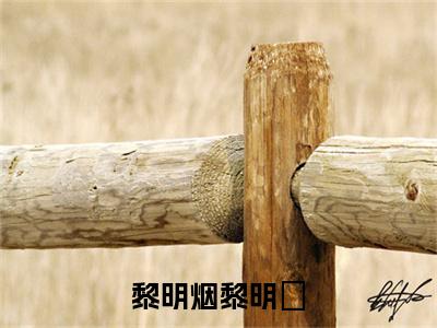 黎明烟黎明璟小说在线阅读全文无弹窗大结局_黎明烟黎明璟小说免费最新章节列表