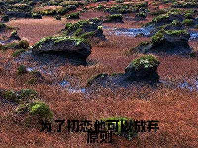 《为了初恋他可以放弃原则完整小说》姜南枝顾京钦完结版全章节阅读