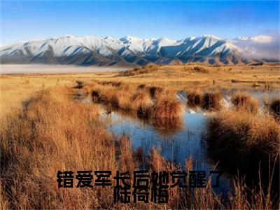 错爱军长后她觉醒了陆倚梅（陆倚梅郑春生）全文免费阅读无弹窗大结局_（错爱军长后她觉醒了陆倚梅）免费阅读无弹窗最新章节列表