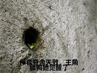 （陆汐后续+全集）作者夺舍失败，主角舔狗她觉醒了（陆汐）小说小说全集陆汐无删减在线阅读