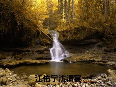 江佑宁沈清宴小说沈清宴江佑宁大结局阅读-新上热文小说江佑宁沈清宴（沈清宴江佑宁）讲的是什么