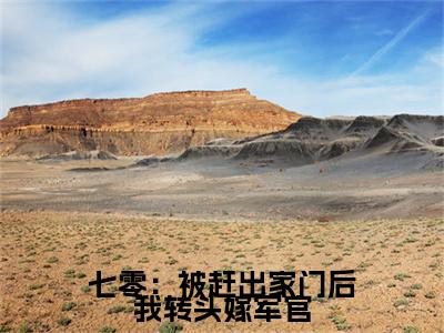 七零：被赶出家门后我转头嫁军官小说全文免费阅读（宋芸）全文免费阅读无弹窗大结局_七零：被赶出家门后我转头嫁军官最新章节列表