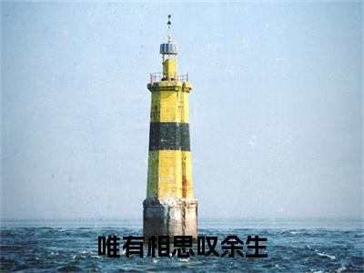 沈肆程沁唯有相思叹余生快手热文整理-沈肆程沁小说唯有相思叹余生今日更新章节