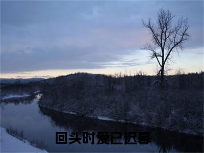 陈南初姜也热门小说在哪免费看-小说回头时爱已迟暮（陈南初姜也）完整版全文在线赏析