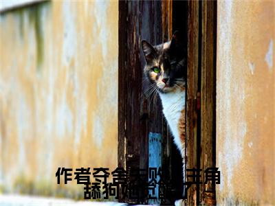 陆汐全文免费阅读大结局-作者夺舍失败，主角舔狗她觉醒了结局免费阅读