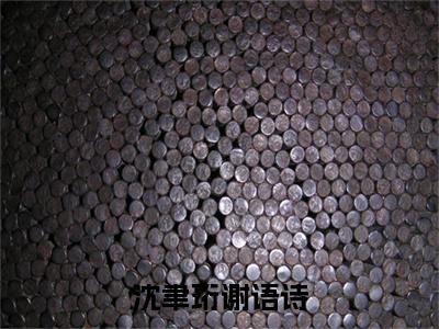 主角是谢语诗沈聿珩的小说叫什么名字沈聿珩谢语诗精彩结局阅读