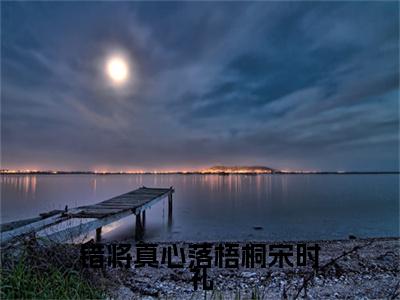 宋时礼是什么小说错将真心落梧桐宋时礼正版小说免费阅读_笔趣阁