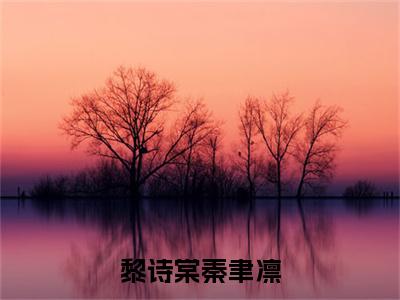 黎诗棠秦聿凛小说秦聿凛黎诗棠全文免费阅读（黎诗棠秦聿凛已完结）