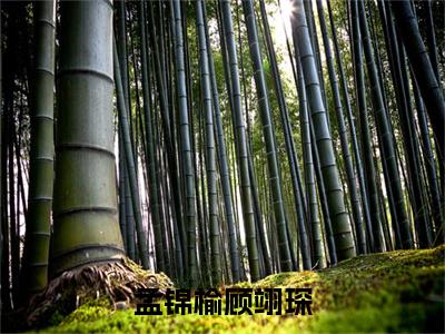 孟锦榆顾翊琛（孟锦榆顾翊琛）小说全文免费阅读正版无弹窗_（孟锦榆顾翊琛）最新章节列表笔趣阁
