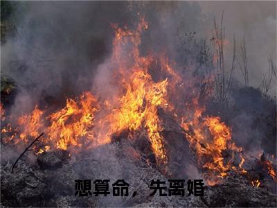 想算命，先离婚小说（宋觅司祁承）全文免费阅读无弹窗大结局_（宋觅司祁承）最新章节列表（宋觅司祁承）