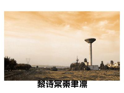 黎诗棠秦聿凛（秦聿凛黎诗棠）全文免费阅读无弹窗-秦聿凛黎诗棠小说完整版在线阅读