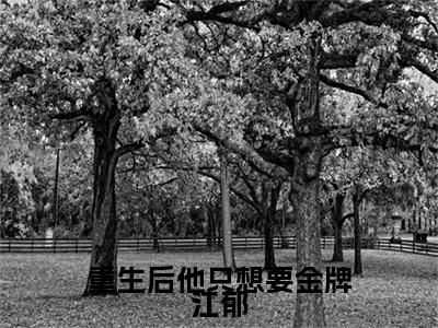 重生后他只想要金牌江郁全文免费阅读无弹窗大结局_重生后他只想要金牌江郁（周思菀江郁）最新章节列表_笔趣阁