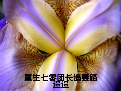 重生七零团长追妻路迢迢小说（宋知慧沈君桦）全文免费阅读无弹窗大结局_（重生七零团长追妻路迢迢）宋知慧沈君桦最新章节列表