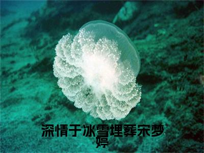 宋梦婷徐远博全集小说（深情于冰雪埋葬宋梦婷）全文免费阅读无弹窗大结局_宋梦婷徐远博最新章节列表_笔趣阁（深情于冰雪埋葬宋梦婷）