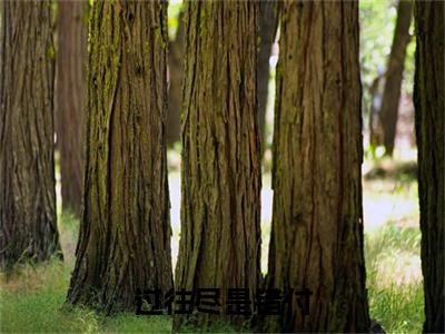 （过往尽是错付）许悠然庄宸新书热荐免费小说-许悠然庄宸小说全文完整版阅读
