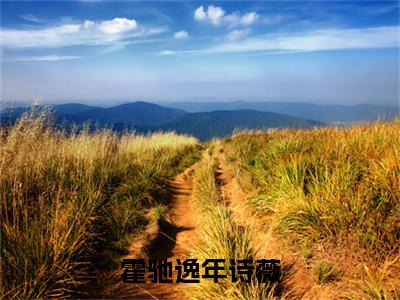 小说霍驰逸年诗薇免费在线阅读-小说主角叫年诗薇霍驰逸的小说完整版免费读全文