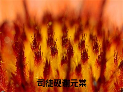 谢元棠司徒砚全文免费阅读大结局-司徒砚谢元棠结局免费阅读