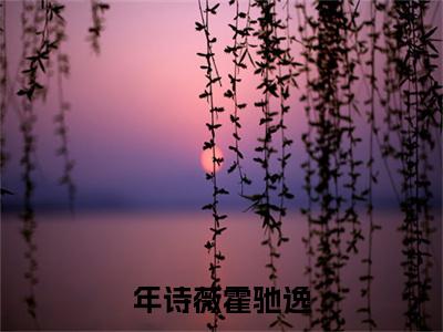 年诗薇霍驰逸小说（年诗薇霍驰逸）免费阅读-年诗薇霍驰逸（年诗薇霍驰逸）全章节最新阅读