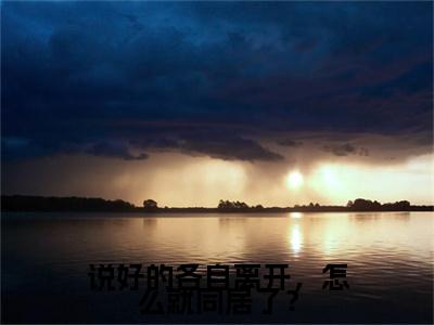 说好的各自离开，怎么就同居了？周默是什么小说-说好的各自离开，怎么就同居了？全文免费阅读无弹窗大结局（周默）最新章节列表在线阅读