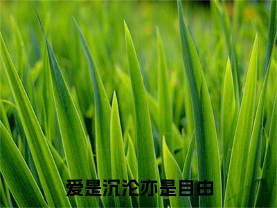 爱是沉沦亦是自由在线阅读（许卿音傅景深）全文免费阅读无弹窗大结局_许卿音傅景深最新章节列表笔趣阁（爱是沉沦亦是自由）