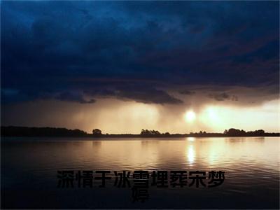 深情于冰雪埋葬宋梦婷免费小说-深情于冰雪埋葬宋梦婷完结版在线阅读