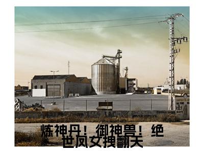 凤轻歌（炼神丹！御神兽！绝世凤女拽翻天）免费小说-（炼神丹！御神兽！绝世凤女拽翻天）完结版在线阅读