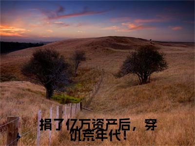 捐了亿万资产后，穿饥荒年代！全文免费阅读无弹窗大结局，乔钰小说精彩免费试读