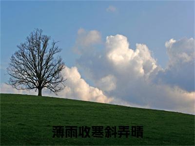 （白宛若）薄雨收寒斜弄晴全文免费阅读无弹窗大结局_薄雨收寒斜弄晴最新章节列表笔趣阁（白宛若）