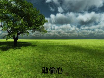 主角为江况宋禾衿的小说精彩阅读-敢偷心最新章节阅读