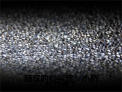 糙汉的心尖宠：小娇娇又撩人（陈明渊苏晴）小说全文免费阅读无弹窗-糙汉的心尖宠：小娇娇又撩人全章节在线阅读（陈明渊苏晴免费+后续）