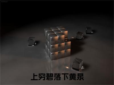 上穷碧落下黄泉（楚易轩沈芙）小说全文免费阅读无弹窗_（楚易轩沈芙全文阅读）上穷碧落下黄泉免费阅读大结局