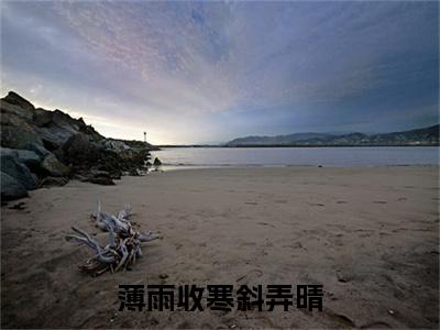 薄雨收寒斜弄晴（白宛若）全文免费阅读无弹窗大结局_薄雨收寒斜弄晴在线阅读笔趣阁（白宛若）