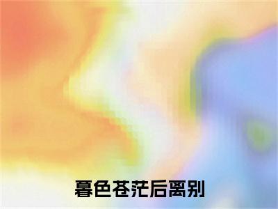 陆聿年叶蓁微小说（暮色苍茫后离别）全文免费阅读无弹窗大结局-暮色苍茫后离别最新热点小说