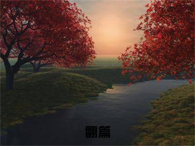 翻篇（陈北周晨）全文免费阅读_翻篇（陈北周晨）最新章节小说免费阅读