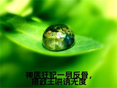 神医狂妃一身反骨，摄政王哄诱无度全文（北辰渊林汐澜）小说免费阅读无弹窗大结局_神医狂妃一身反骨，摄政王哄诱无度全文无弹窗完整版阅读