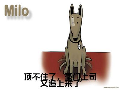 江柠谢景珩（顶不住了，豪门上司又追上来了）小说全文无删减-江柠谢景珩小说免费阅读大结局（免费+全集）