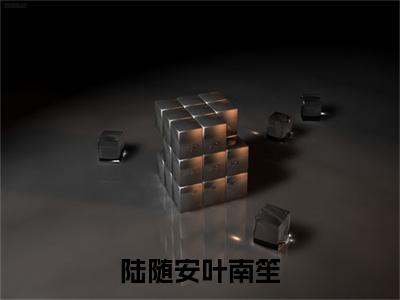 陆随安叶南笙全文免费阅读大结局_陆随安叶南笙（叶南笙陆随安）最新章节列表