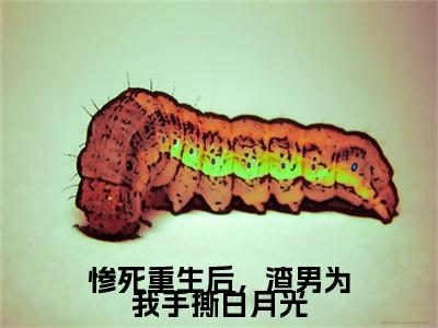 惨死重生后，渣男为我手撕白月光全文免费阅读（傅司南虞星禾免费阅读无弹窗）惨死重生后，渣男为我手撕白月光最新章节列表