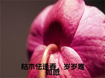 枯木怯逢春，岁岁难如愿裴聿璟安澜小说-枯木怯逢春，岁岁难如愿小说免费阅读