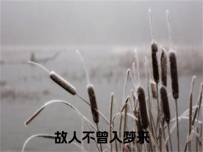 故人不曾入梦来最新热门小说-（顾语涵姜新阳）最新章节免费阅读