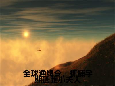 （时序颜鹿）全文免费阅读无弹窗大结局-全球通缉令，抓捕孕期逃跑小夫人小说最新章节列表
