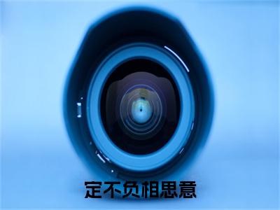 （定不负相思意）苏可盈顾琛全文完整版-最新热门榜单小说定不负相思意（苏可盈顾琛）